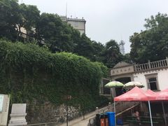 -上海佘山国家森林公园西佘山园