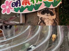 -正佳雨林生态植物园