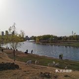 《城市公园》