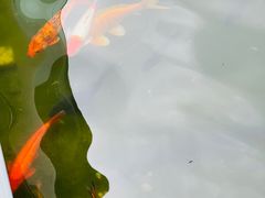 -园林格兰云天大酒店-太极名厨中餐厅