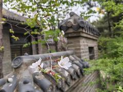 -爱新觉罗皇家博物院