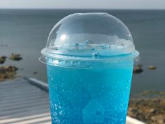 -海岛日记(养马岛店)