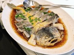 肉汁蒸东海大黄鱼-炳胜品味(海印总店)