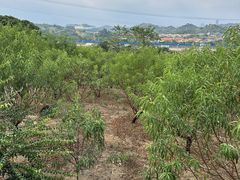 -水濂山森林公园