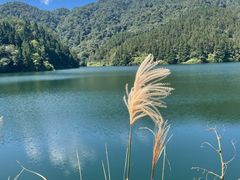 -云南屏边大围山国家公园