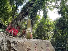 -七仙岭温泉国家森林公园