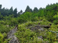 -太阳湾风景区