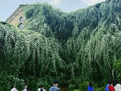 -府河摄影公园
