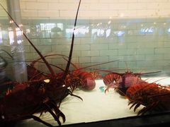 -Water Grill(圣莫妮卡店)