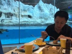 -帝企鹅自助餐厅•儿童岛•真企鹅(长隆企鹅酒店)
