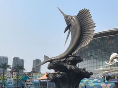-海合安天津极地海洋公园
