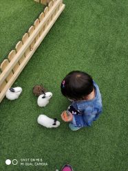 -萌宠亲子动物乐园(槐房万达店)