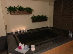 -春晖园度假酒店温泉