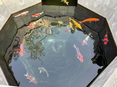 -西安市广仁寺