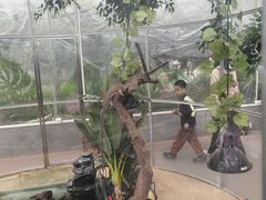 -南宫五洲植物乐园