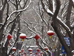 -北京国子监胡同