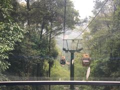 -缙云山景区