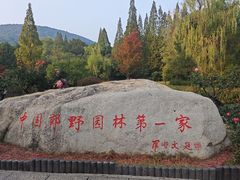 -习家池
