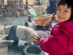 -石家庄市动物园