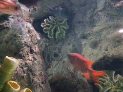 -苏州海洋馆