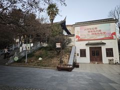 -伯先公园