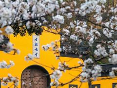 -鸡鸣寺