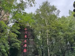 -汤旺河林海奇石景区