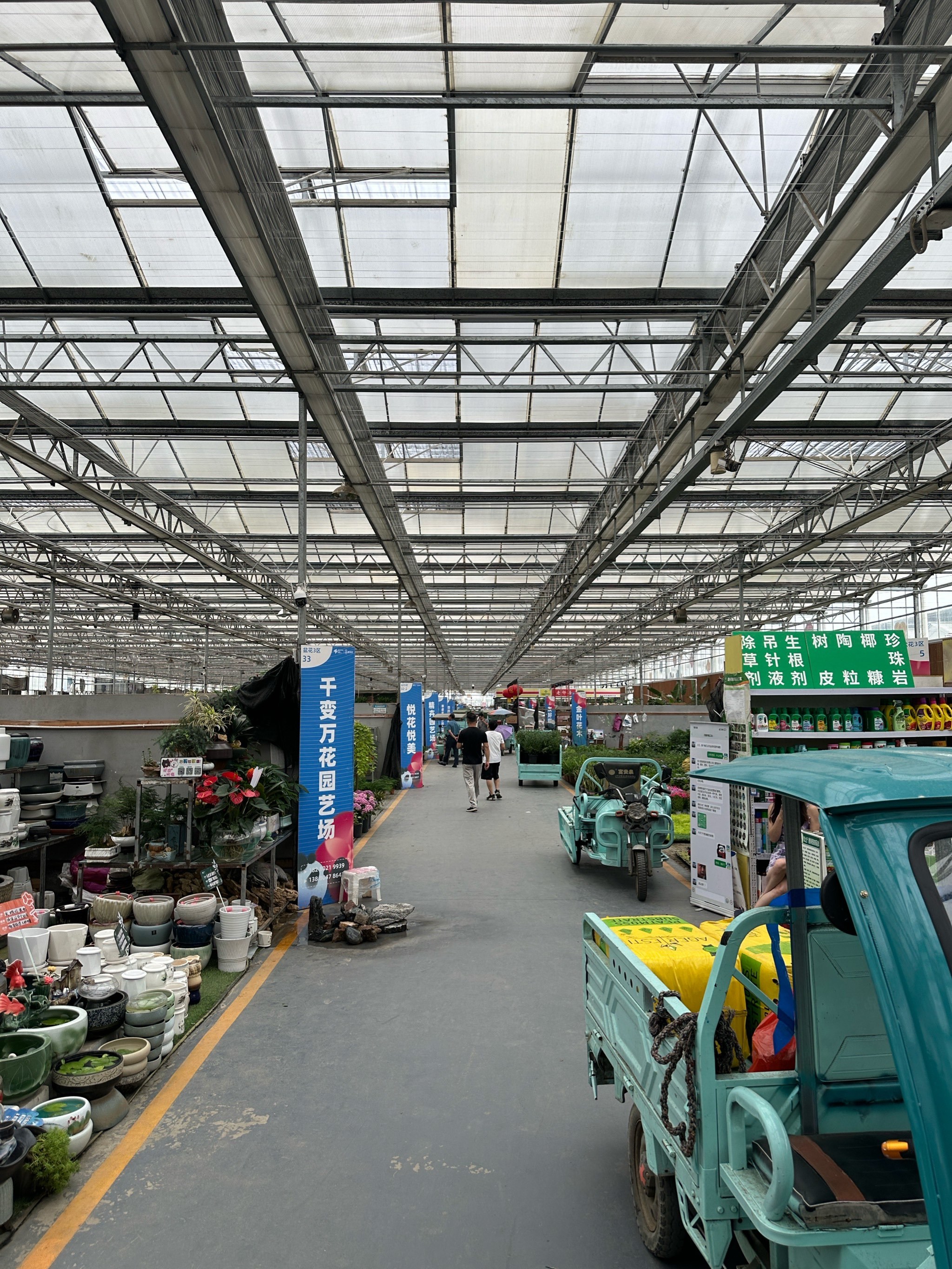 郫县沙西线这边的花卉市场也太便宜了吧!冲!