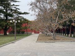 -北京市劳动人民文化宫(太庙)