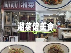 -新新湘菜馆(新中街二条店)