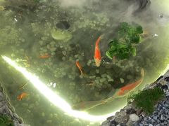 -鹏欣水游城