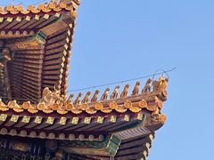 -故宫博物院(故宫)