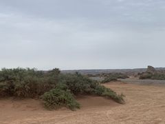 -哈密雅丹大海道景区