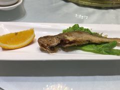 -绸乡宴酒店·融合苏帮宴(吴江店)