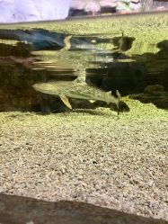 -Zoolung Zoolung动物主题公园(海信广场店)