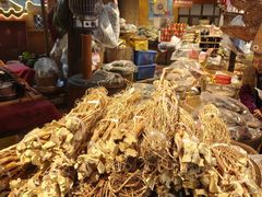 -园林美食城·本土农家菜(杨和镇店)