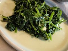 清炒豌豆尖-多味居(剪子巷店)