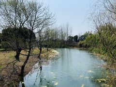 -梁鸿国家湿地公园