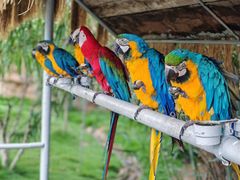 -西霞口神雕山野生动物世界