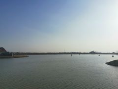 -荷兰花海