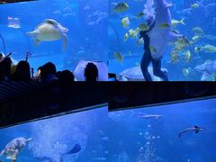 -左海海底世界