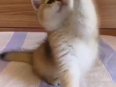 -万达广场(南京江宁店)