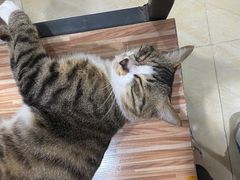 -玉椰林甜品店(创始店)