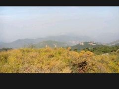 -鲁山国家森林公园