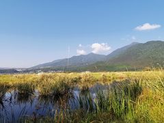 -腾冲北海湿地
