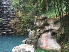 -阿巧茶庄