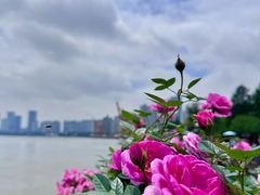 -龙美术馆(西岸馆)
