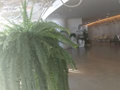 -哈尔滨圣安口腔专科医院