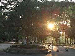 -四川大学(望江校区)