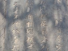 -桃花堤公园